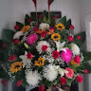 Meet your Posher, Katya